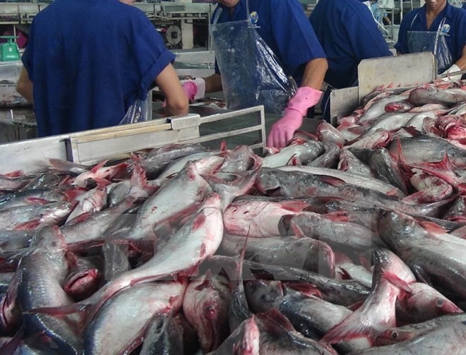 US Senators move to nullify new catfish inspection rules - ảnh 1